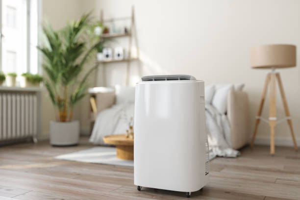 Best Ductless HVAC Repair  in Sierra Ridge, CO
